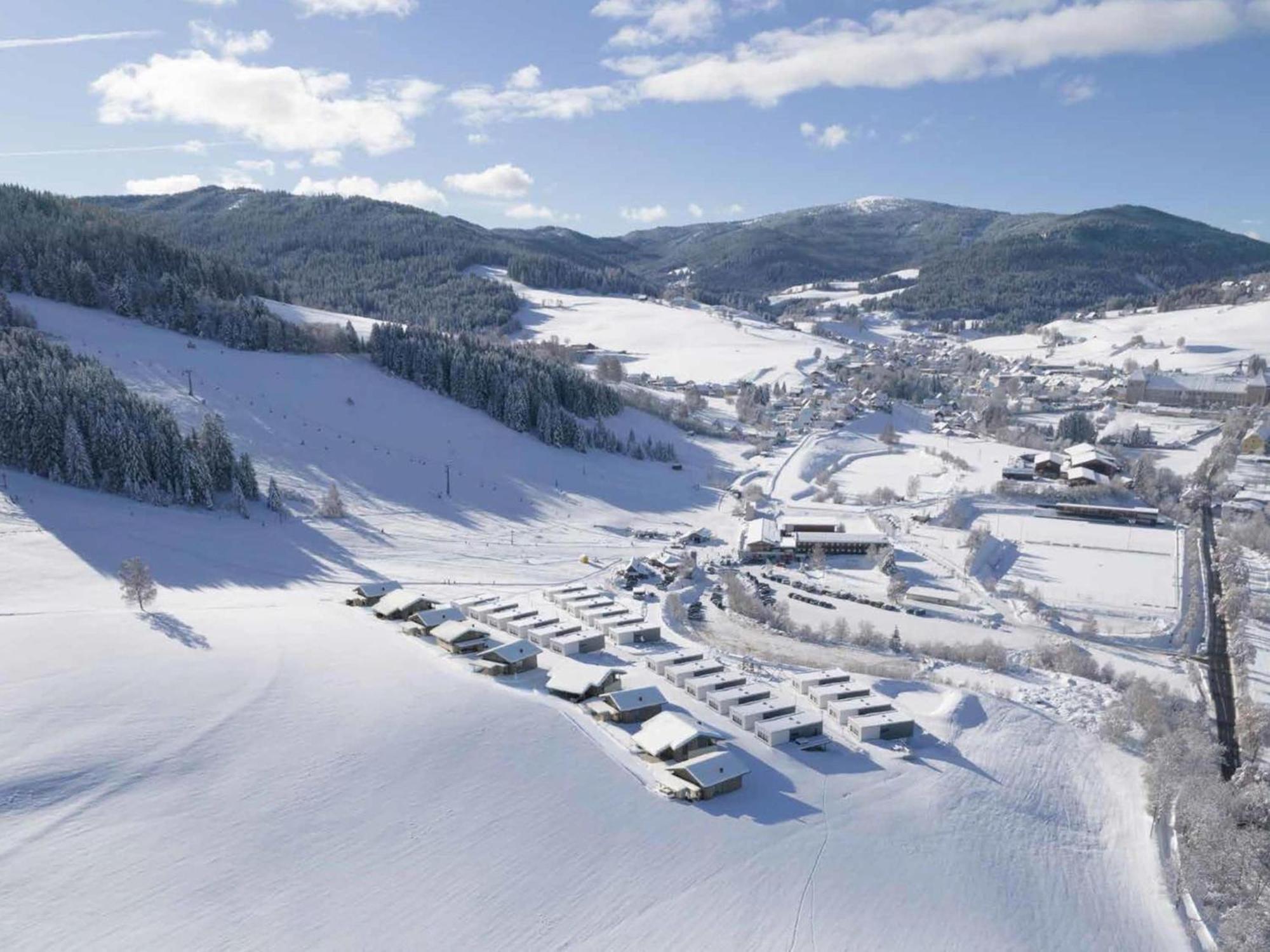Grebenzen Lodge Hirsch ザンクト・ランブレヒット エクステリア 写真